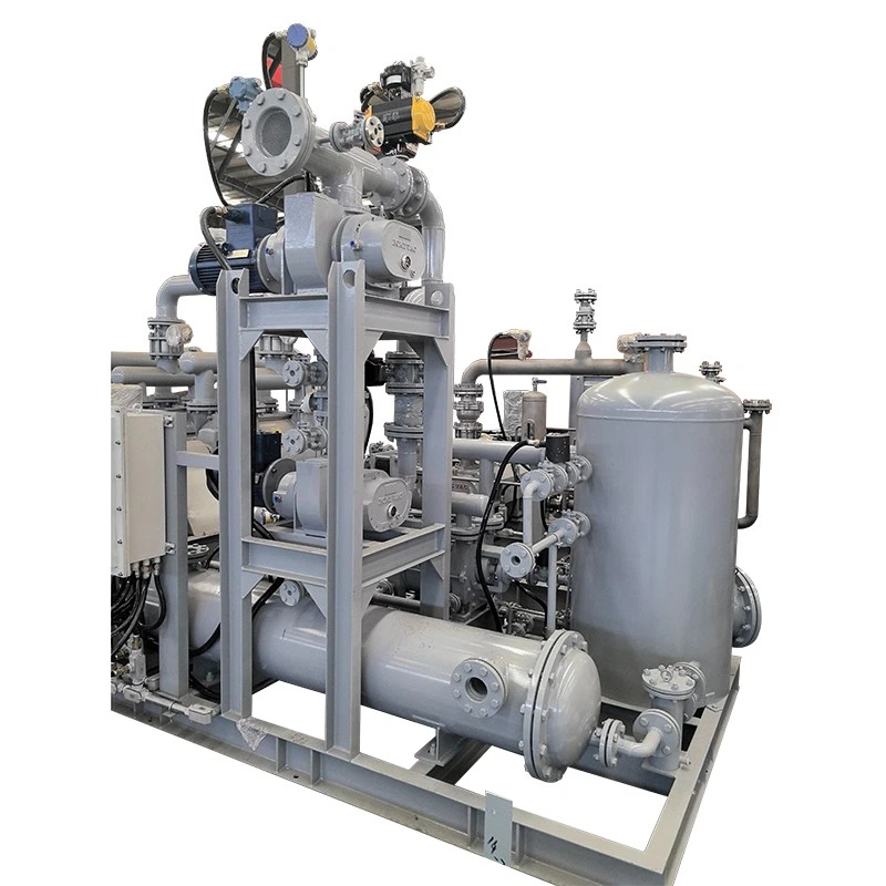 roots and liquid ring vacuum system  (3) +